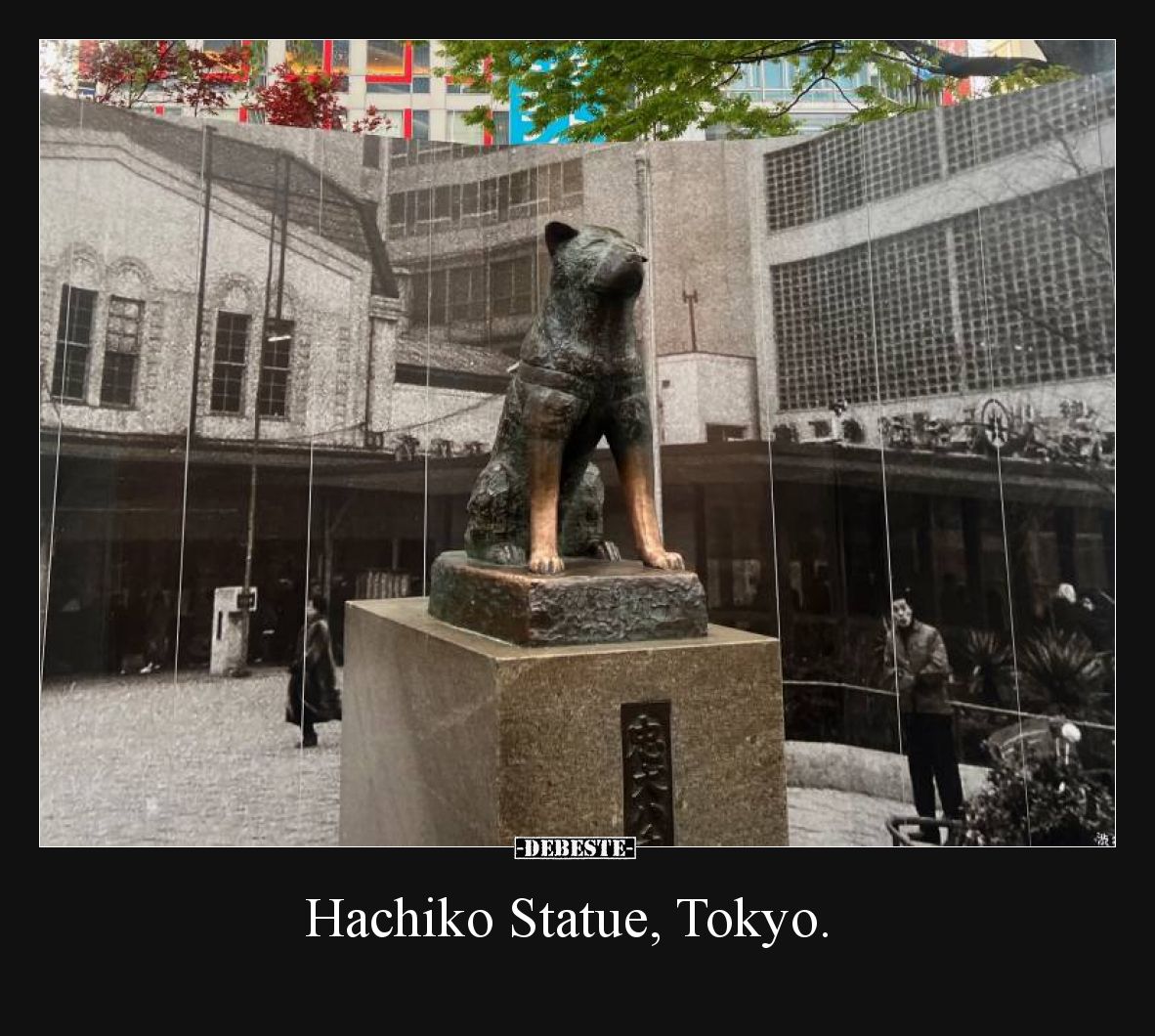 Hachiko Statue, Tokyo.
