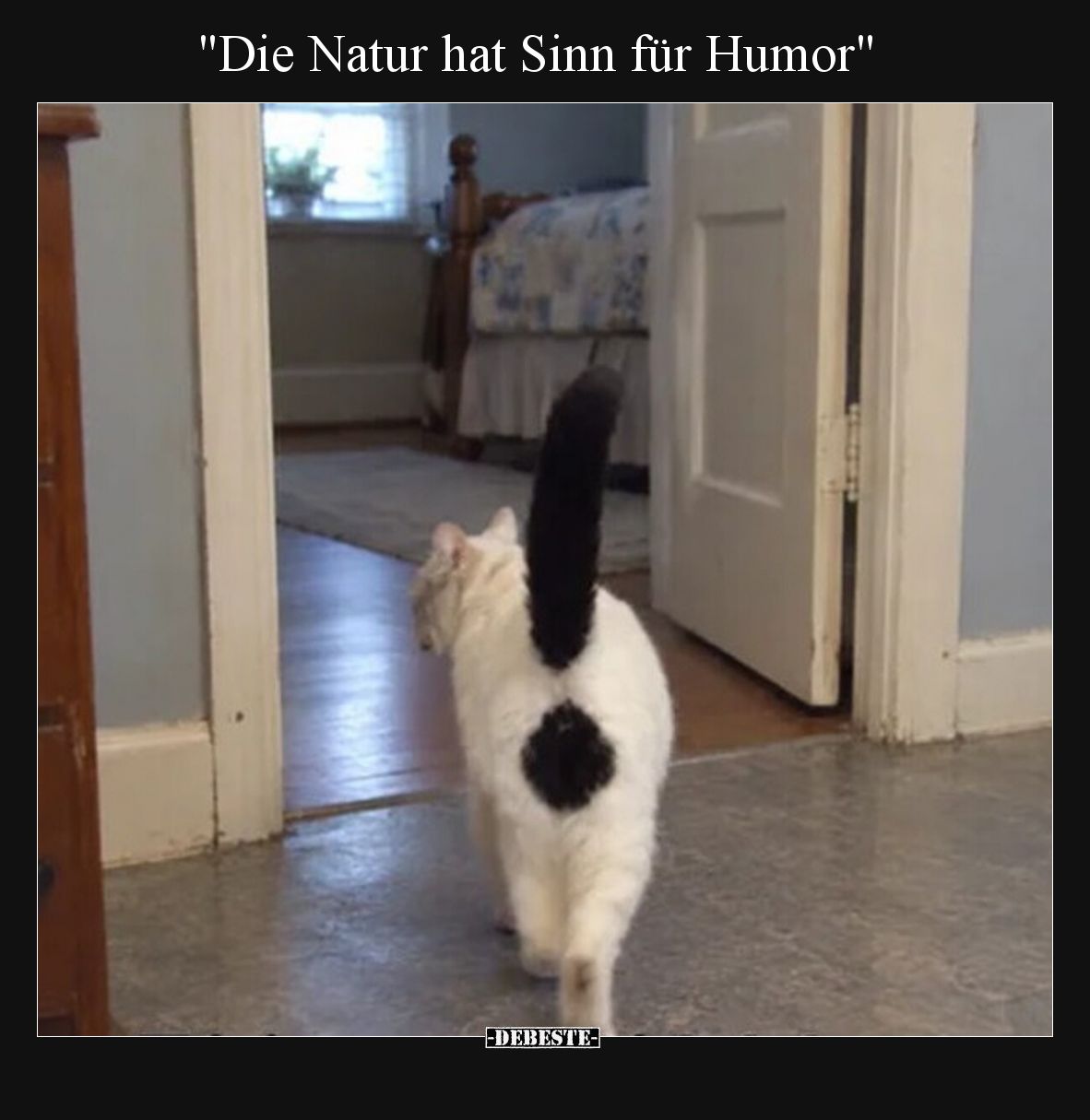 Die Natur hat Sinn für Humor