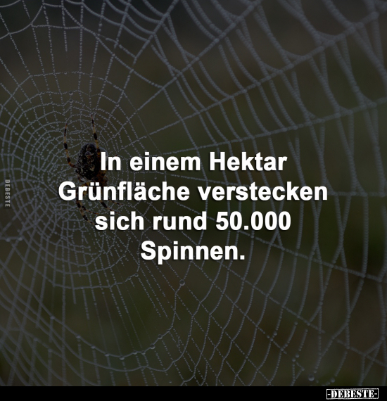 In einem Hektar Grünfläche verstecken sich rund.. - Lustige Bilder | DEBESTE.de