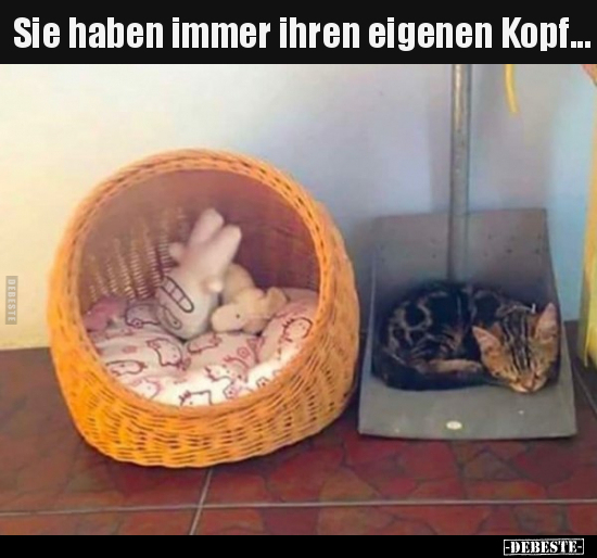 Sie haben immer ihren eigenen Kopf...