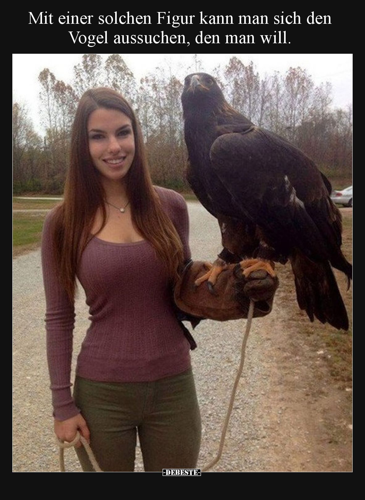 Mit einer solchen Figur kann man sich den Vogel aussuchen, den man will.