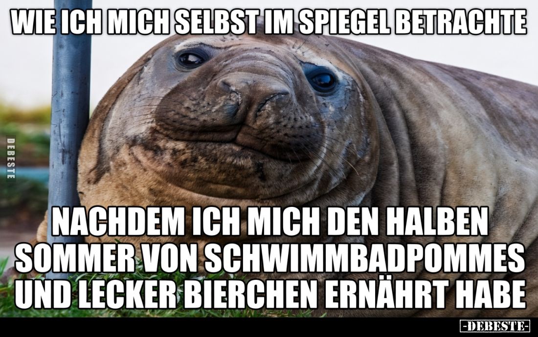 Wie ich mich selbst im Spiegel betrachte
nachdem ich mich den halben Sommer von Schwimmbadpommes
und lecker Bierchen ernä...
