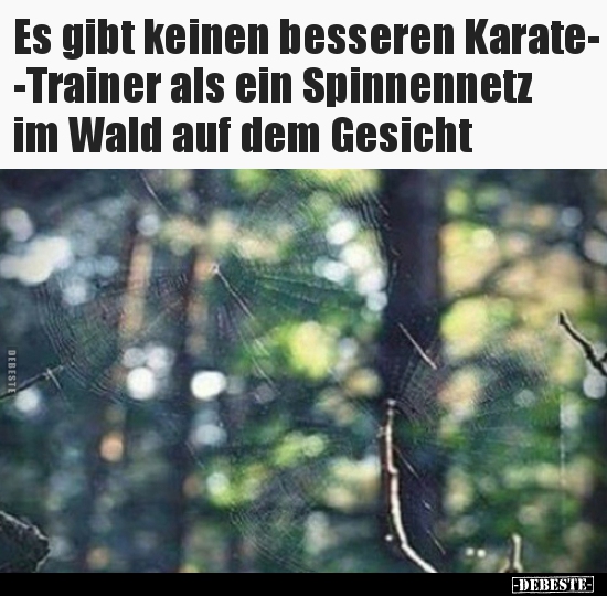 Es gibt keinen besseren KarateTrainer als ein.. - Lustige Bilder | DEBESTE.de