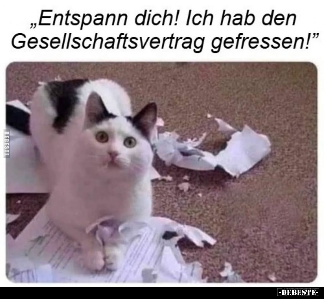 Entspann dich! Ich hab den Gesellschaftsvertrag gefressen!