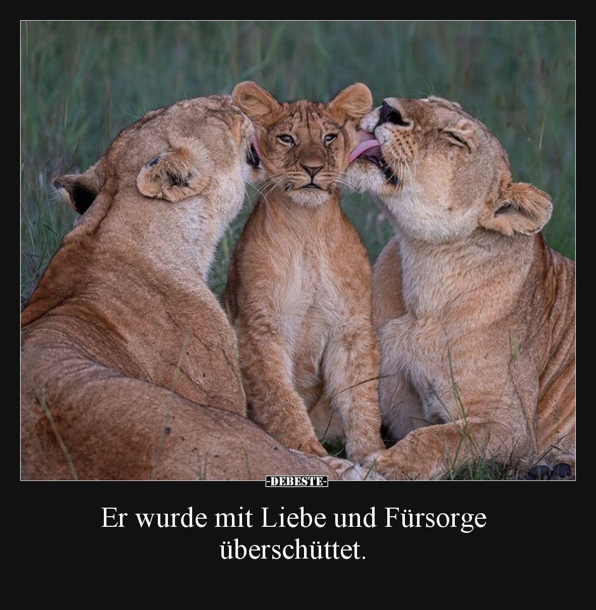 Er wurde mit Liebe und Fürsorge überschüttet.