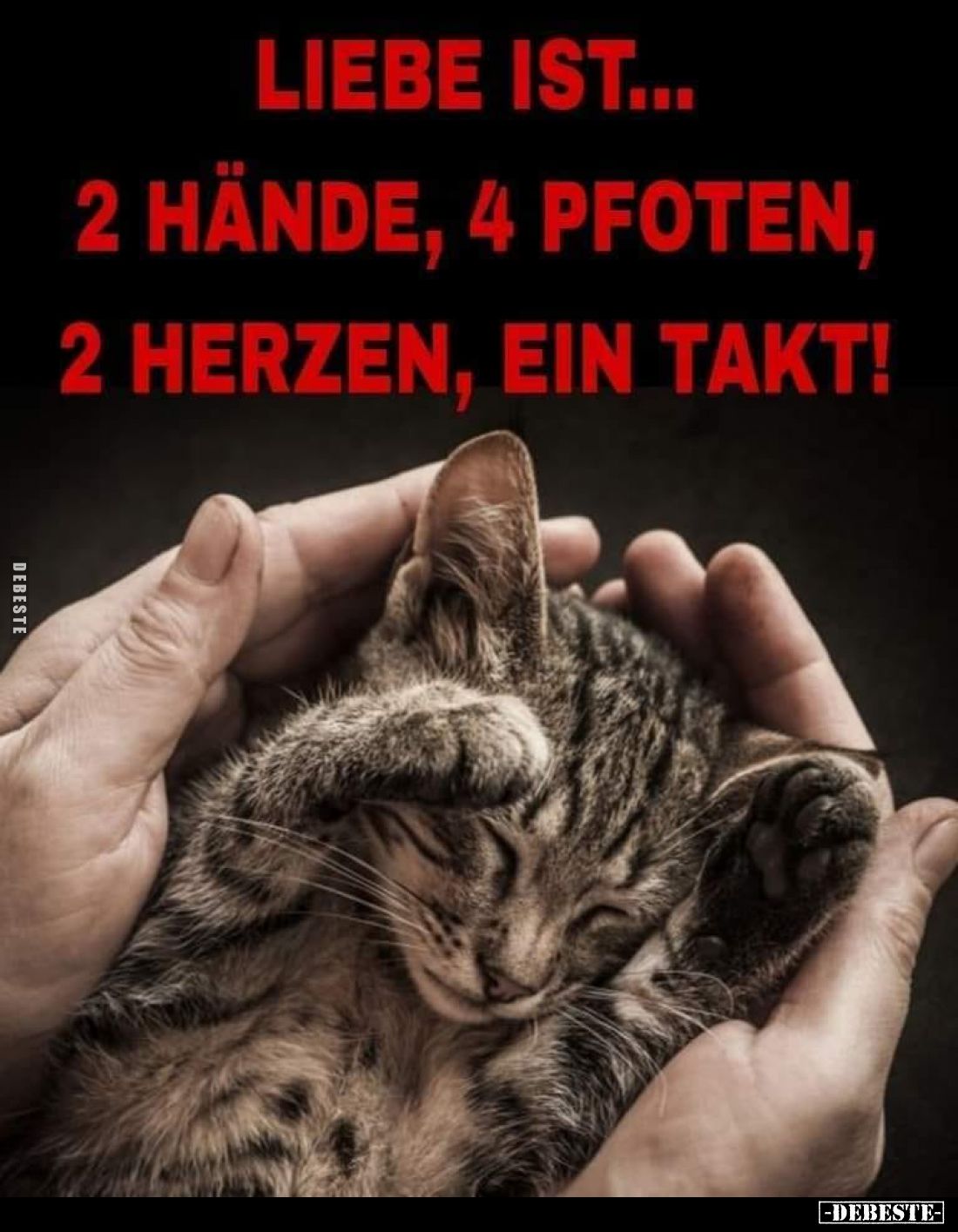Liebe ist...
2 Hände, 4 Pfoten, 2 Herzen, ein Takt!