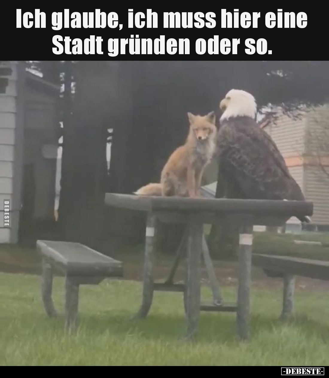Ich glaube, ich muss hier eine Stadt gründen oder so... - Lustige Bilder | DEBESTE.de