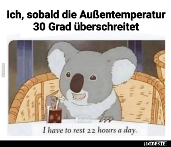 Ich, sobald die Außentemperatur 30 Grad überschreitet.. - Lustige Bilder | DEBESTE.de