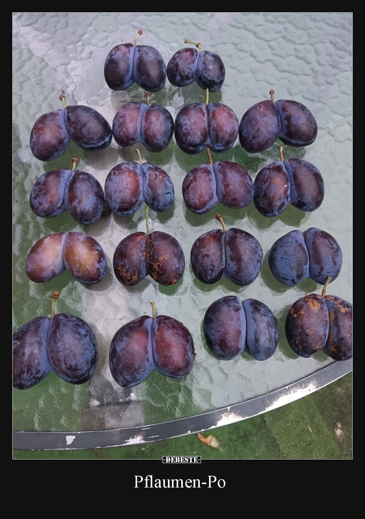 Pflaumen-Po