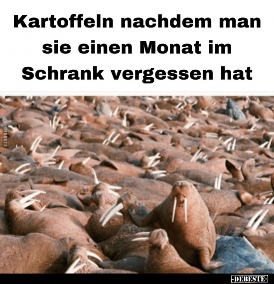 Kartoffeln nachdem man sie.. - Lustige Bilder | DEBESTE.de