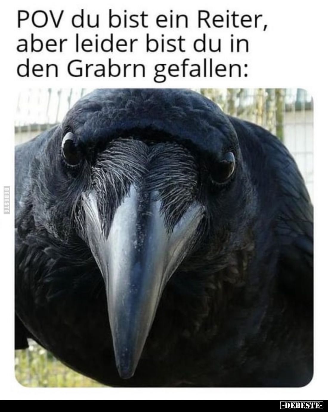 POV du bist ein Reiter, aber leider bist du in den Grabrn gefallen: