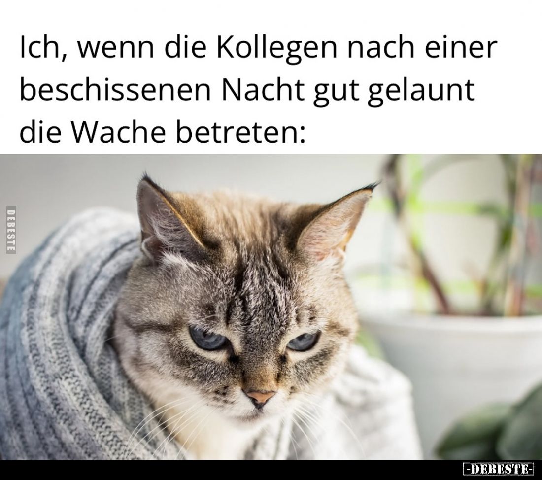 Ich, wenn die Kollegen nach einer beschissenen Nacht gut gelaunt die Wache betreten: