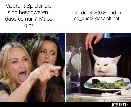 Valorant Spieler, die sich beschweren, dass es nur 7 Maps.. - Lustige Bilder | DEBESTE.de