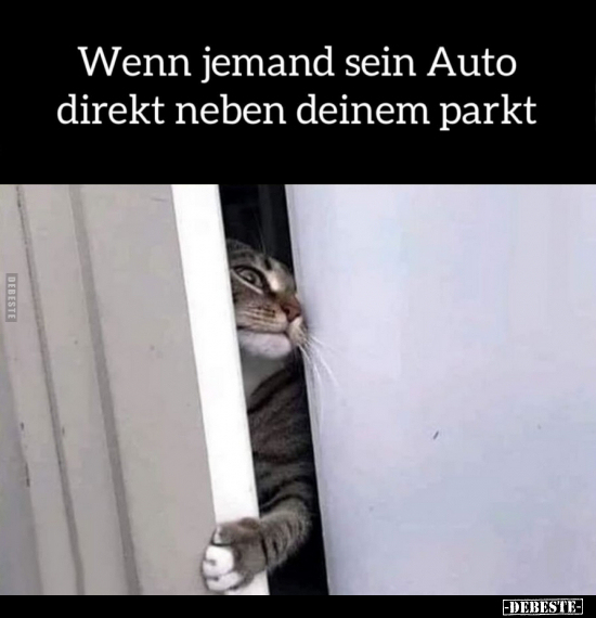 Wenn jemand sein Auto direkt neben deinem parkt... - Lustige Bilder | DEBESTE.de