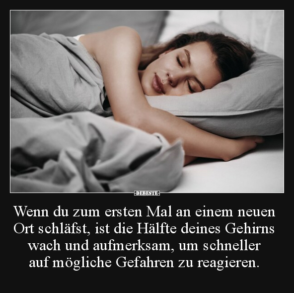 Wenn du zum ersten Mal an einem neuen Ort schläfst, ist.. - Lustige Bilder | DEBESTE.de
