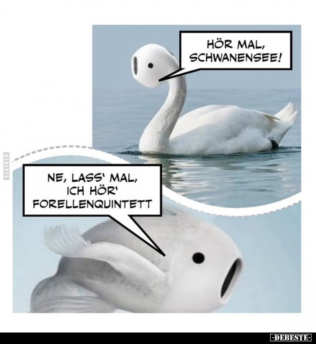 Hör mal, Schwanensee!
-
Ne, lass' mal, ich hör' Forellenquintett.