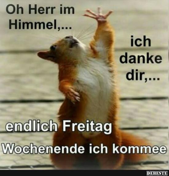 Oh Herr im Himmel...