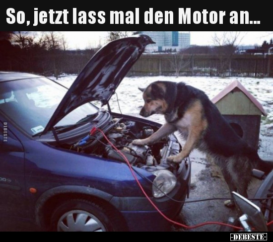 So, jetzt lass mal den Motor an... - Lustige Bilder | DEBESTE.de