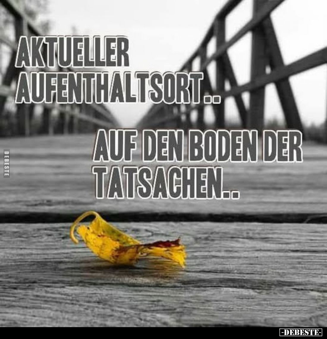 Aktueller Aufenthaltsort..
auf den Boden der Tatsachen..