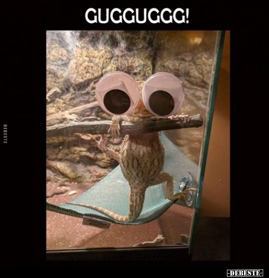 GUGGUGGG!..