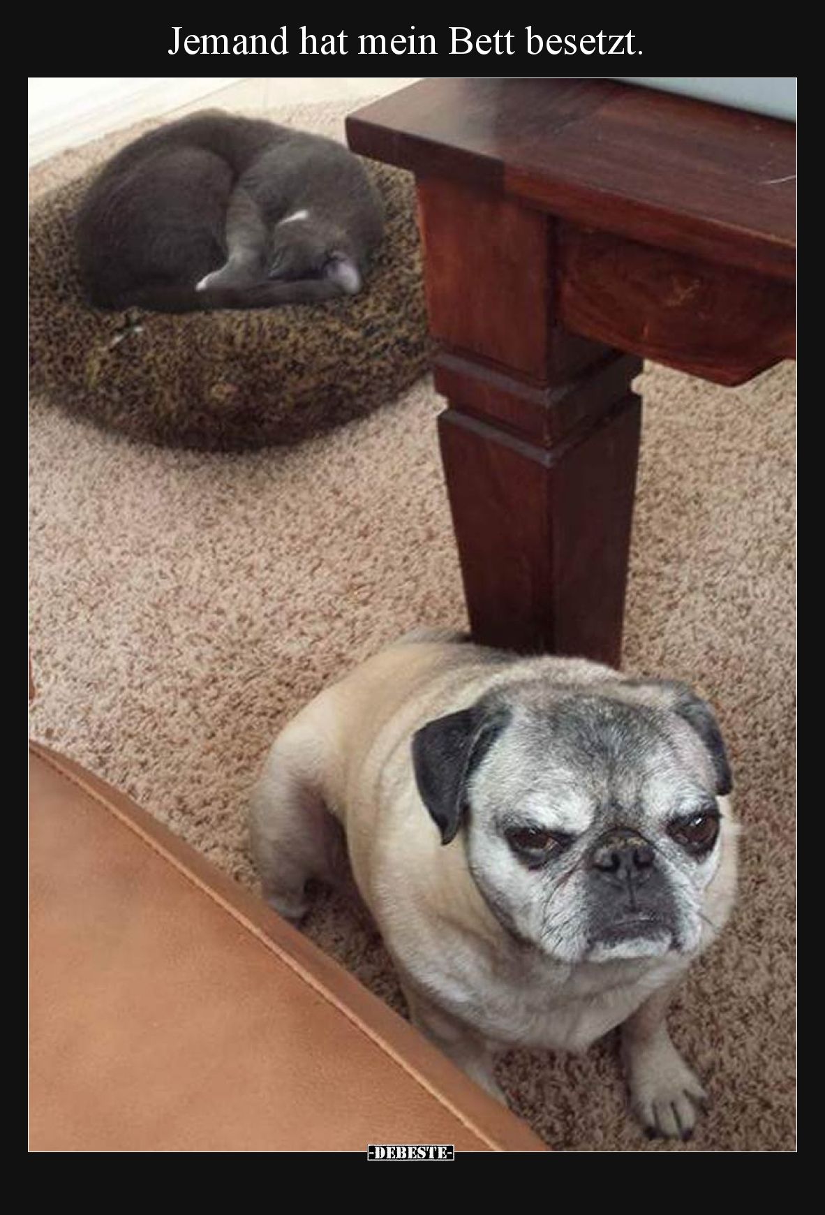 Jemand hat mein Bett besetzt.