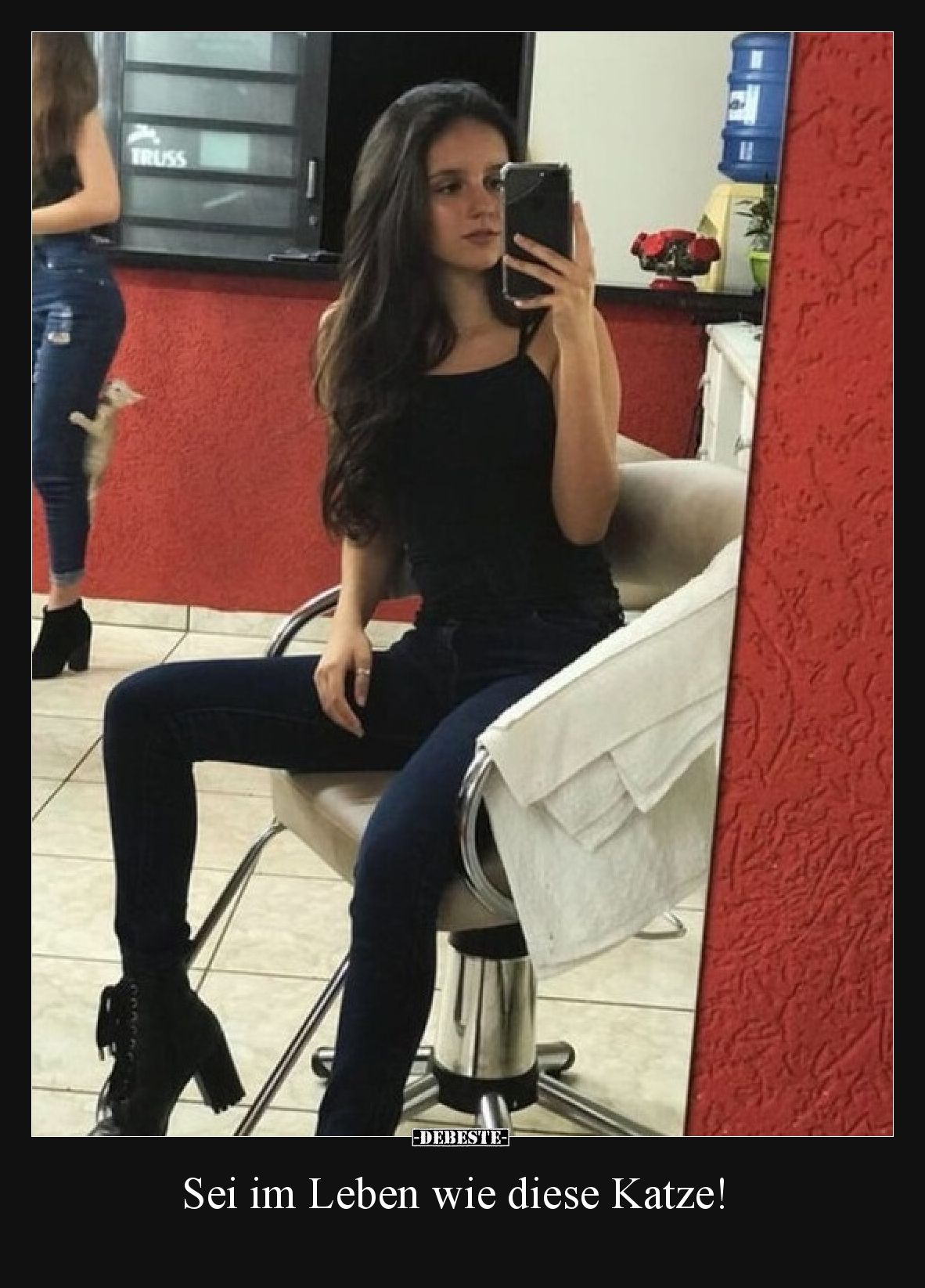 Sei im Leben wie diese Katze!