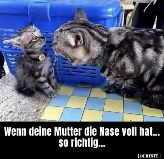 Wenn deine Mutter die Nase voll hat... - Lustige Bilder | DEBESTE.de
