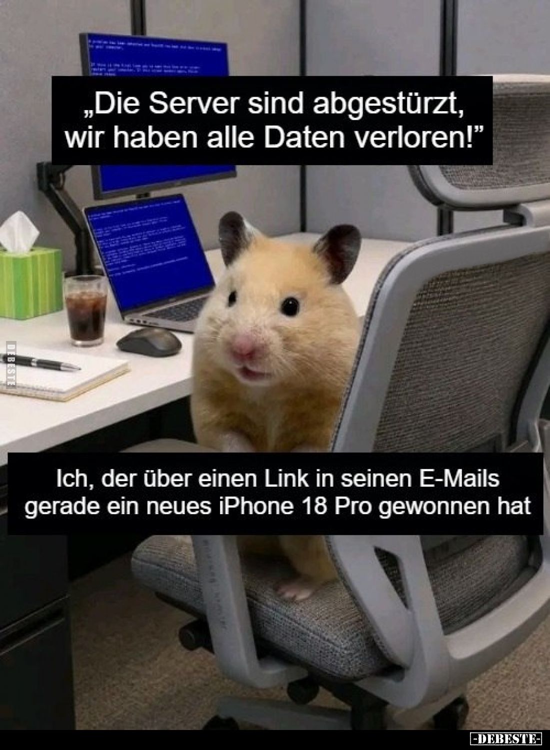 „Die Server sind abgestürzt, wir haben alle Daten verloren!”

Ich, der über einen Link in seinen E-Mails gerade ein neues i...