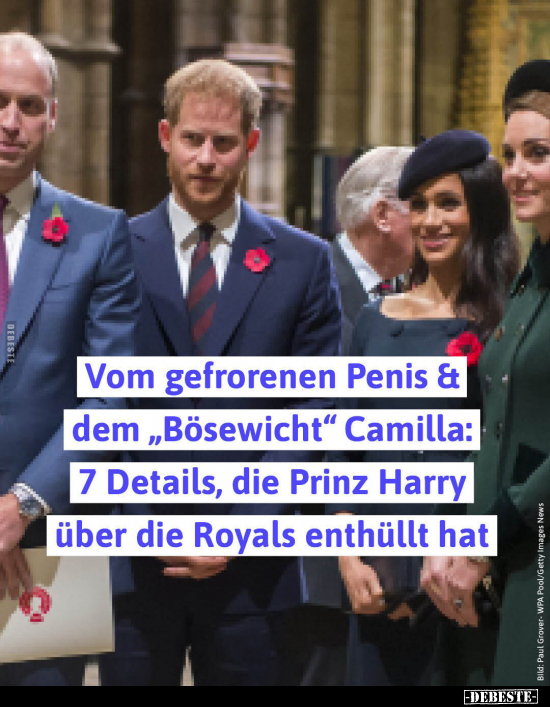 Vom gefrorenen Pe*nis & dem "Bösewicht" Camilla: 7 Details.. - Lustige Bilder | DEBESTE.de