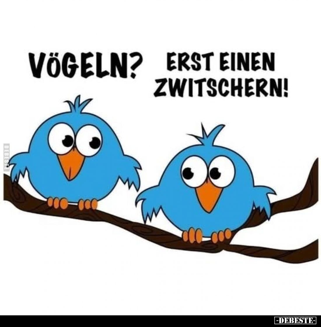Vögeln? -
Erst einen zwitschern!