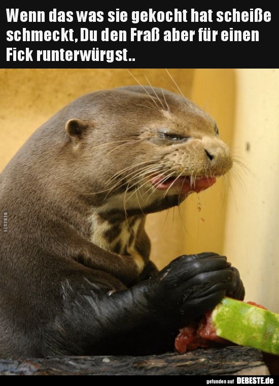 Wenn das was sie gekocht hat scheiße schmeckt..