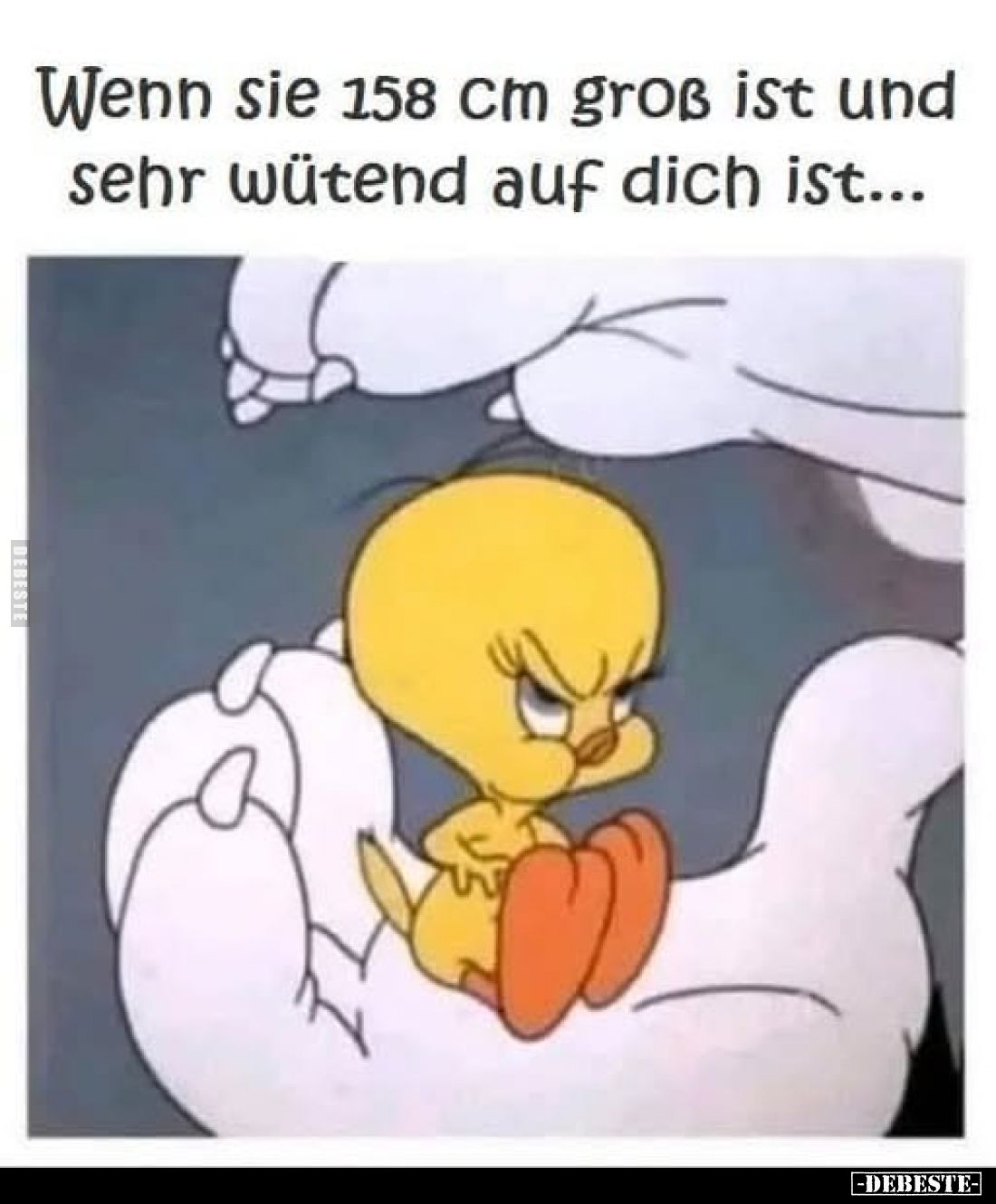 Wenn sie 158 cm groß ist und sehr wütend auf dich ist...