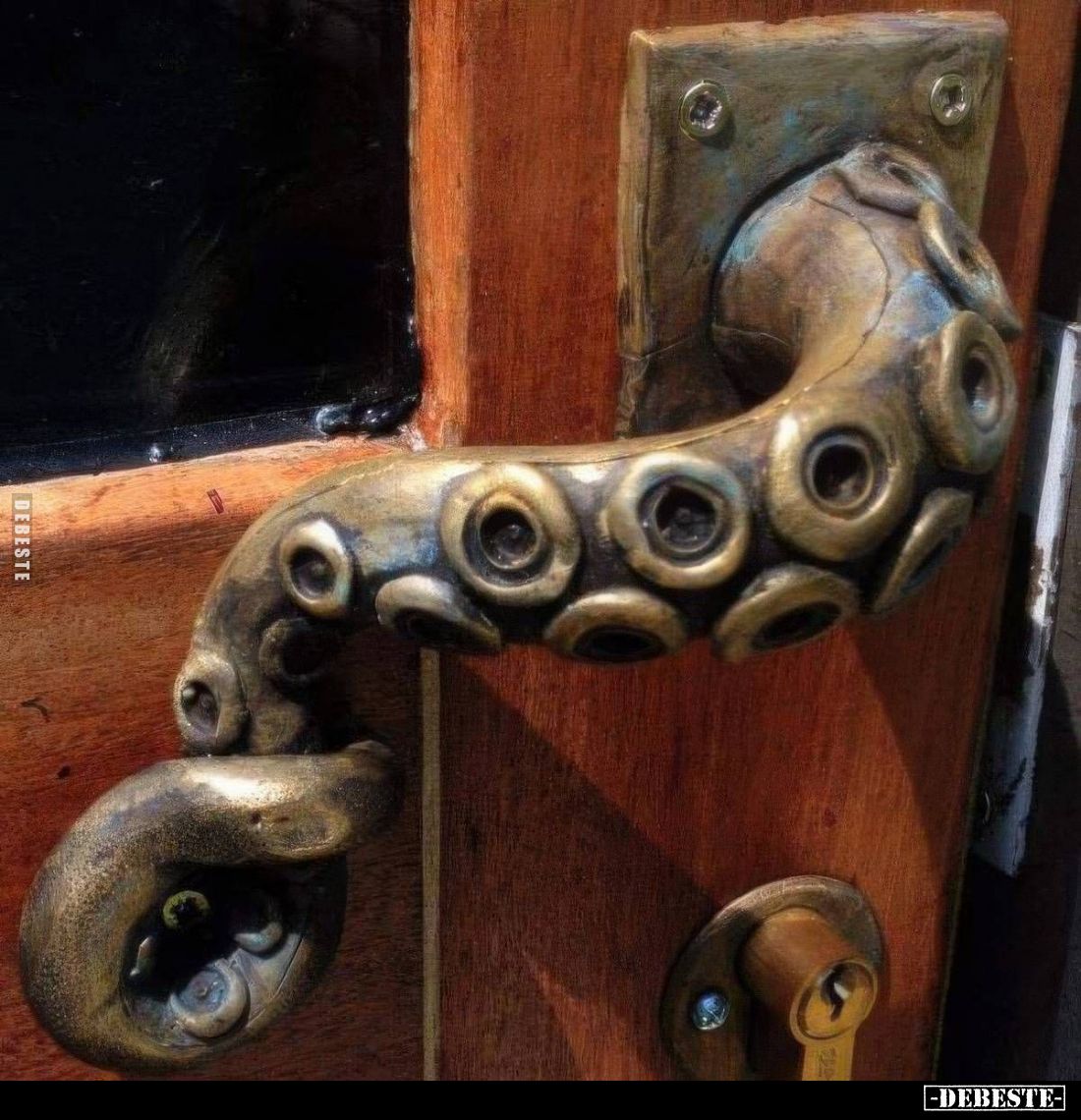  - Lustige Bilder | DEBESTE.de