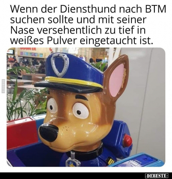 Wenn der Diensthund nach BTM suchen sollte und mit seiner.. - Lustige Bilder | DEBESTE.de