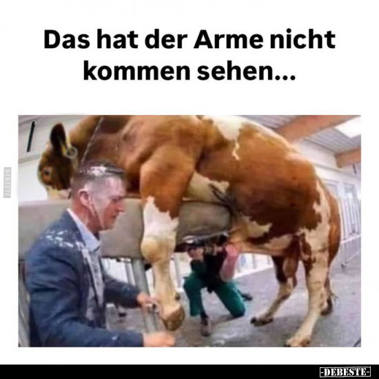 Das hat der Arme nicht kommen sehen... - Lustige Bilder | DEBESTE.de