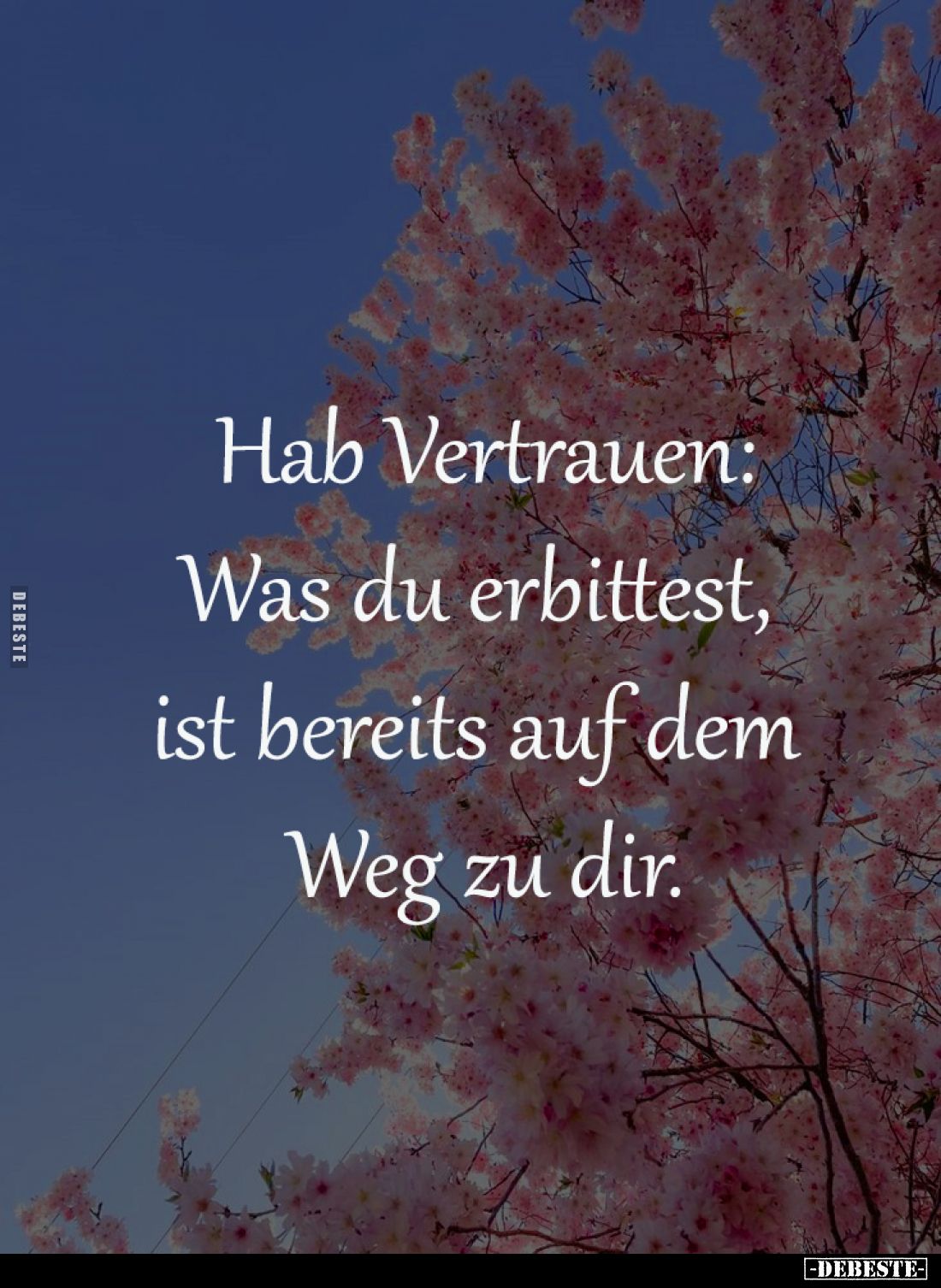 Hab Vertrauen:
Was du erbittest, 
ist bereits auf dem 
Weg zu dir.