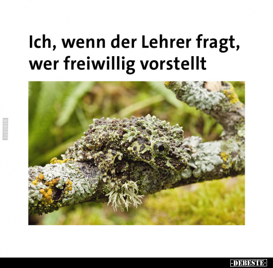 Ich, wenn der Lehrer fragt, wer freiwillig vorstellt.. - Lustige Bilder | DEBESTE.de