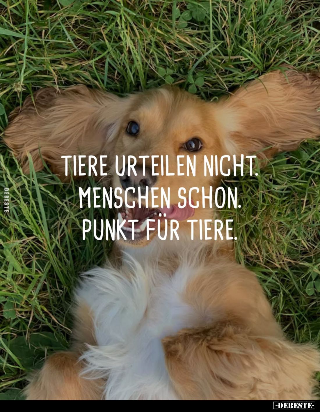Tiere urteilen nicht. Menschen schon. Punkt für Tiere.