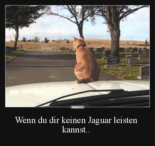 Wenn du dir keinen Jaguar leisten kannst..