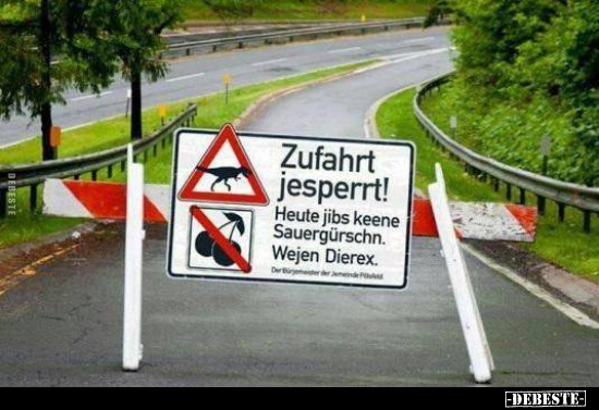 Zufahrt jesperrt! Heute jibs keene Sauergürschn. Wejen..