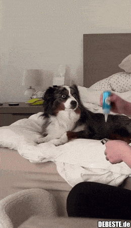  - Lustige Bilder | DEBESTE.de