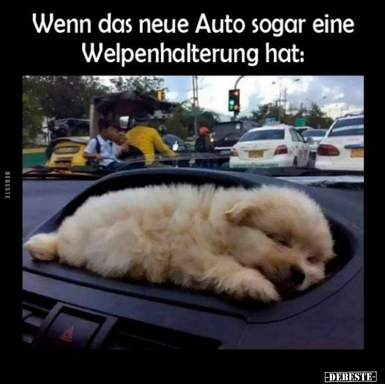 Wenn das neue Auto sogar eine Welpenhalterung hat.. - Lustige Bilder | DEBESTE.de