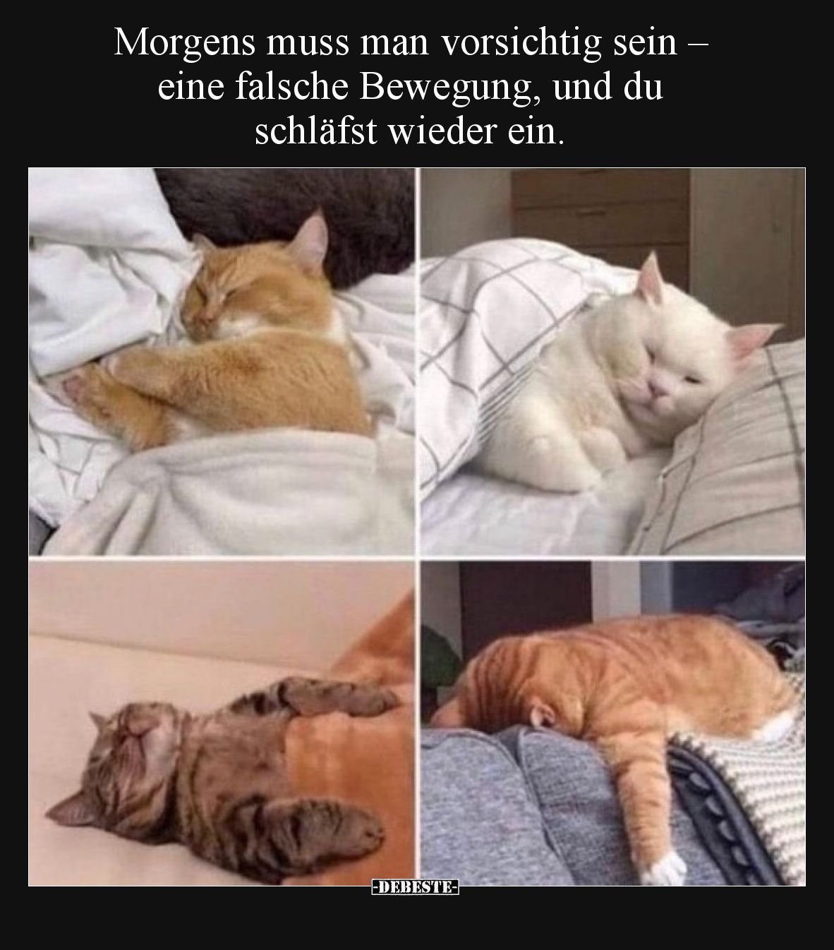 Morgens muss man vorsichtig sein – eine falsche Bewegung, und du schläfst wieder ein.