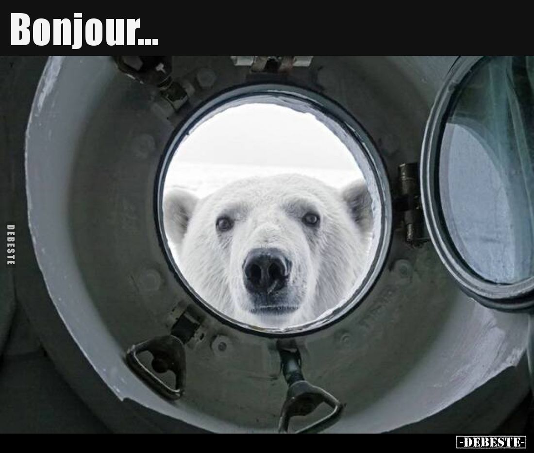 Bonjour...