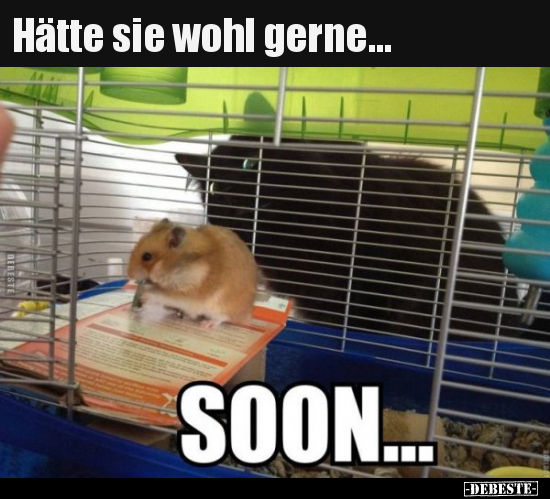 Hätte sie wohl gerne...