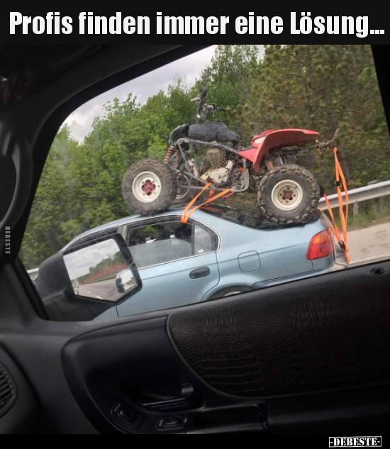 Profis finden immer eine Lösung...