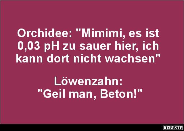Orchidee: 'Mimimi, es ist 0,03 pH zu sauer hier'.. - Lustige Bilder | DEBESTE.de