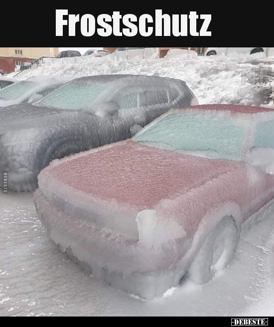 Frostschutz.. - Lustige Bilder | DEBESTE.de