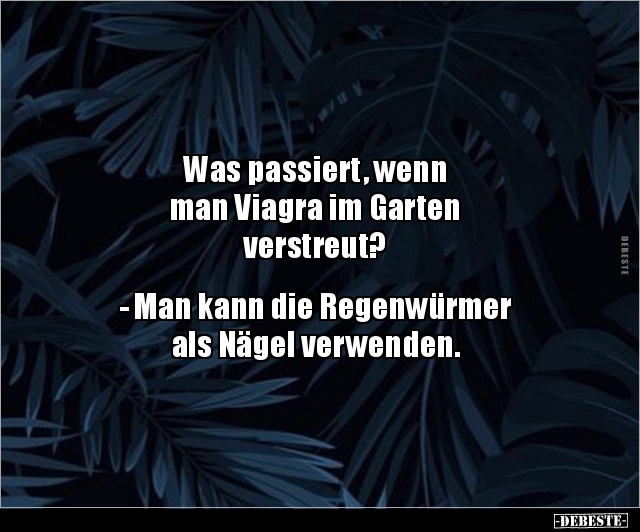Was passiert, wenn man Viagra im Garten.. - Lustige Bilder | DEBESTE.de