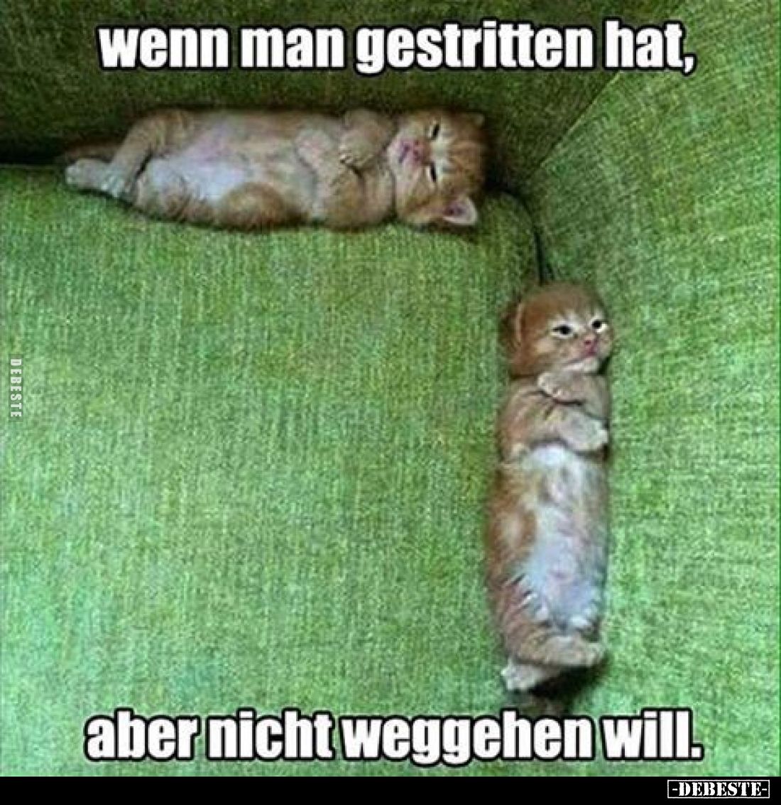 Wenn man gestritten hat, aber nicht weggehen will.. - Lustige Bilder | DEBESTE.de